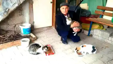 Hisarcık'ta Emekli Gece Bekçisi Sokak Kedilerini Besliyor