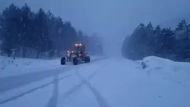 Kocayayla Geçidi'nde Kar Yağıyor, Trafik Kilitlendi!
