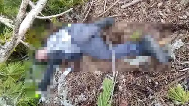 Kütahya'da Orman İşçisi Hayatını Kaybetti