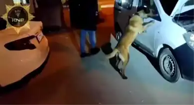Kütahya'da 5 Kilo Esrar Operasyonu!