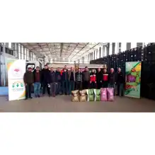 Simav'daki Domates Üreticilerine Gübre Desteği
