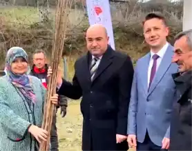 Tavşanlı'da 2784 Fidan Dağıtımı