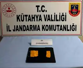 Gediz'de Uyuşturucu Operasyonu: 1660 Kullanımlık Madde Ele Geçirildi!